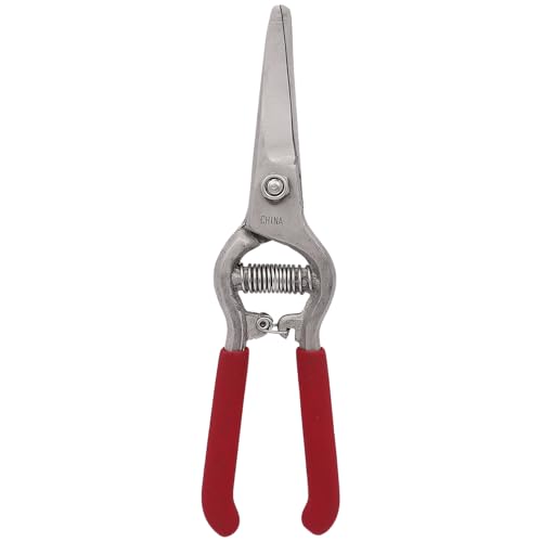 Zenport Z280 Needlenose Shear, Grape, 8-Inch Heavy Duty Forged Steel Curved Blade