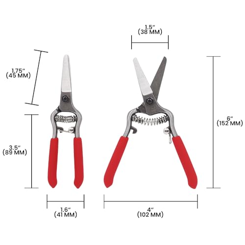 Zenport Z270 6” Forged Straight Blade Needle Nose Shear, 1.5 Inch Blades, Red - 3 Pack - style: 3