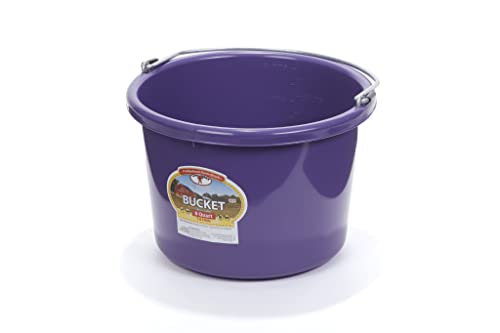 Little Giant® Plastic Animal Feed Bucket | Round Plastic Feed Bucket with Metal Handle | Made in USA | 8 Quarts | Purple - color: Purple