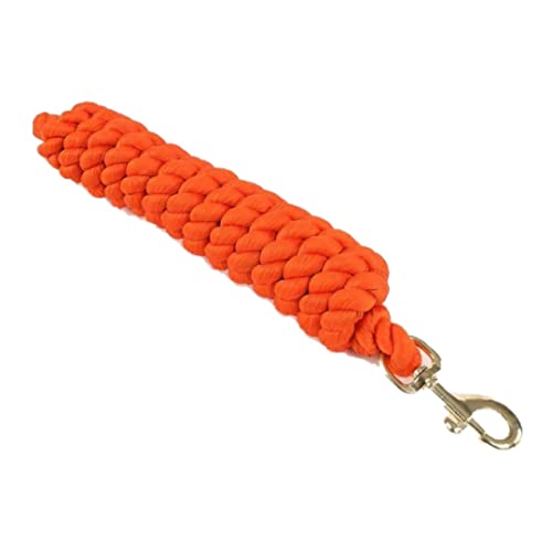 Extra Long Lead Rope (Purple) - color: Purple
