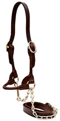 Weaver Leather Livestock Dairy/Beef Rounded Show Halter, Brown, Large - color: Brown, size: Large