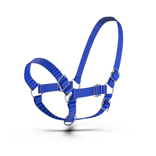Adjustable Nylon Cow Halter | Calf Halter one Halter for (1 Year to Full Size) Easy Adjustable Straps elimates the Need of Ill-Fitting Cattle Halter - color: BLUE