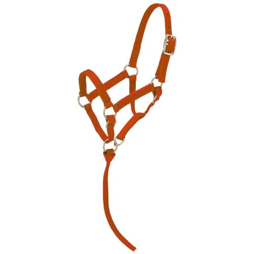 Tough1 Miniature Nylon Halter - color: Red, size: Large