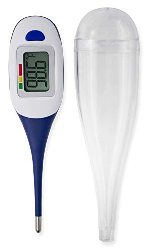 Apex Large Face LCD Fast Read Digital Thermometer for Adults and Children - Instant Read Thermometer for Fever Detection with Quick 10 Second Read Time ( Packaging May Vary ) - size: 1 Count (Pack of 1)