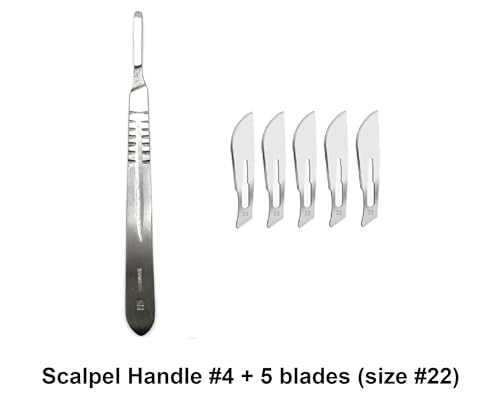 19 Piece Dissecting Kit Including Scissors, Forceps, Scalpel, and Probe in Leatherette Case for Anatomy Lab, Biology, Medical Students, and General Dissection