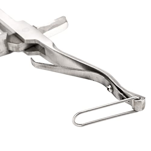 Ear Tag Plier Stainless Steel, Ear Notcher, Stainless Steel Pig Ear Tag Plier, Hear Tag Notcher with Safe Buckle for Cattle, Sheep, Goats, Pigs, and Dogs Identification(U Shape 26x20x3.5cm)