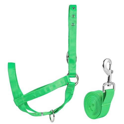 Cow Halter Cattle Halters Calf Halter with Leading Rope，Adjustable Nylon Livestock Cattle Halter，for Miniature Horse Donkey Goat Foal (Green, Small) - color: Green, size: Small