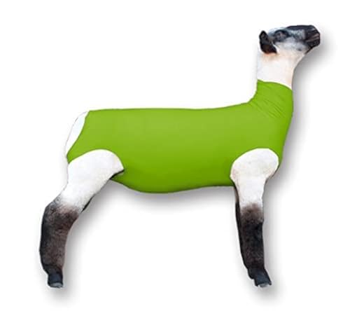 Show Pro Neon Green Spandex Lamb Tube for Show Sheep & Lamb - Show Livestock Supplies: Sheep Covers & Blankets (Large)
