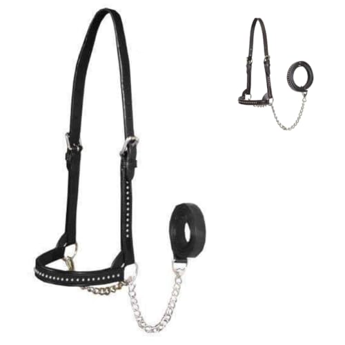 Derby Originals New and Improved Premium Show Spotted Flat Leather Cattle Show Halter with Matching Chain Lead - color: Black, size: Small (350-700lbs)