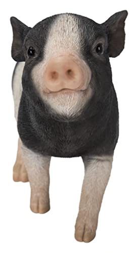 Hi-Line Gift Baby Pig Standing - Black and White