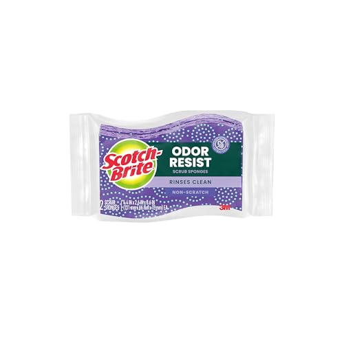 Scotch-Brite Odor Resist Non-Scratch Scrub Sponge, Dishwasher-Safe Kitchen Sponges that Resist Bacterial Odors, Multipurpose Dish Sponge for Gentle Cleaning, 24 Dish Sponges