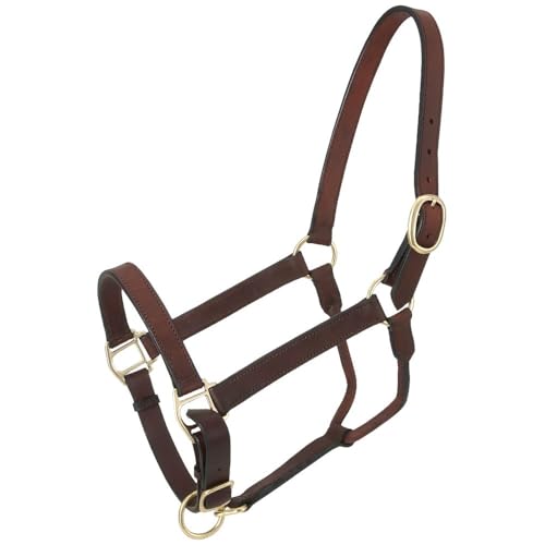 Royal King Leather Stable Halter - color: Brown