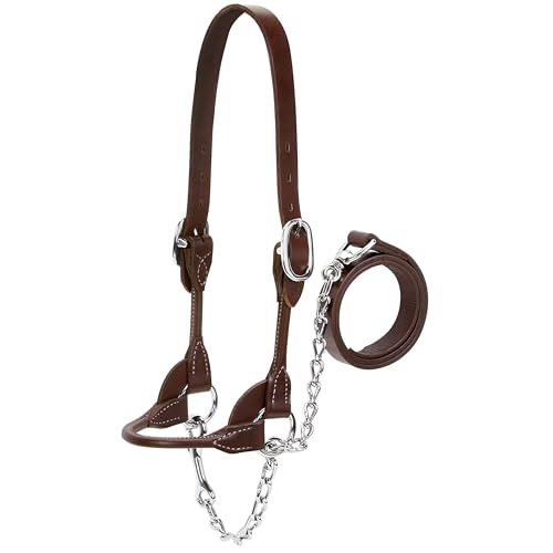 Weaver Livestock Dairy/Beef Rounded Show Cattle Halter, Adjustable, Modern Style Cow Calf Halter, Livestock Handling Equipment for Showing, Brown - color: Brown, size: Small