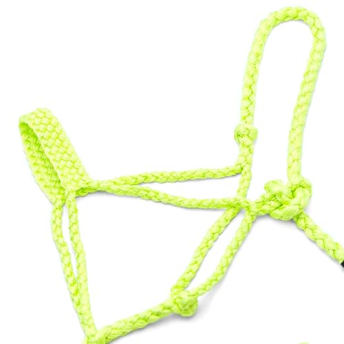Jeffers Equine Braided Mule Tape Halter with 10' Detachable Lead Rope Set for Horses, 14 to 18 Hands - Stylish Design with Adjustable Poll Strap, Easy to Use Western Tack - Lime Green - color: Lime Green