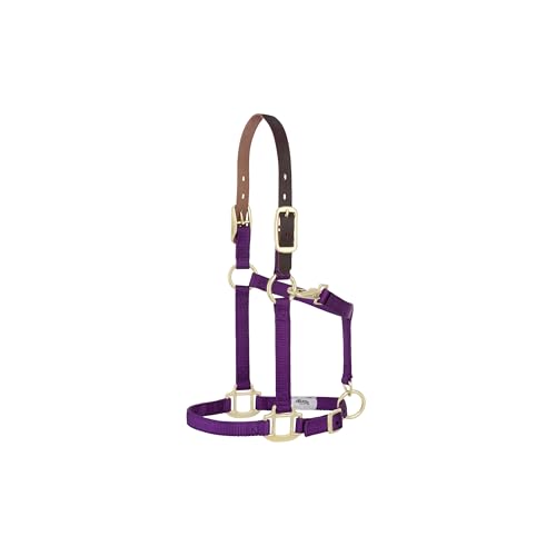 Weaver Leather Adjustable Breakaway Nylon Horse Halter, Purple, Weanling/Pony
