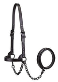 Derby Originals Black Midnight All Black Premium Flat Fancy Stitch Leather Cattle Show Halter with Matching Chain Lead - size: Small (350-700lbs)