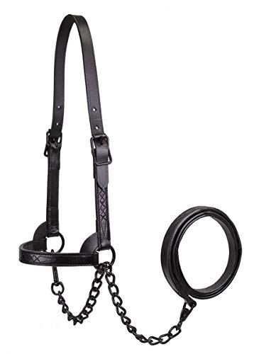 Derby Originals Black Midnight All Black Premium Flat Fancy Stitch Leather Cattle Show Halter with Matching Chain Lead - size: Small (350-700lbs)