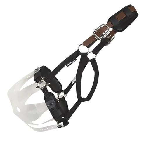 Turnout Halter for Use with Grazing Muzzle | Horse Equine Safe Comfortable Adjustable Breakaway Halter - Size Options - size: Medium Mini