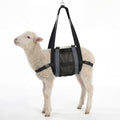 Calf Sling for Weighing Animals with Adjustable Back Straps 24" x 14" | Breathable Mesh Livestock Harness, Hanging Weight Scale Accessory for Small Animal, Newborn Lambs,Goats,Calves,Alpacas&Dogs