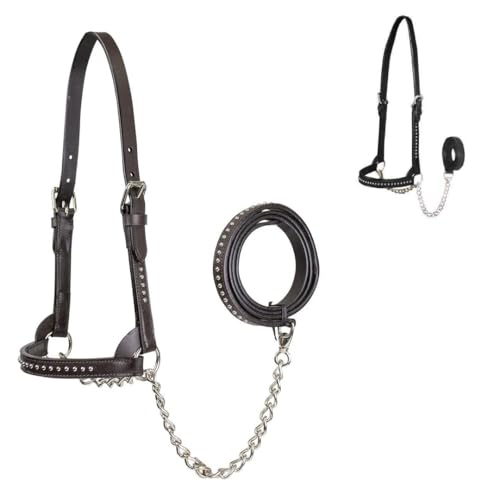 Derby Originals New and Improved Premium Show Spotted Flat Leather Cattle Show Halter with Matching Chain Lead - color: Havana, size: Small (350-700lbs)