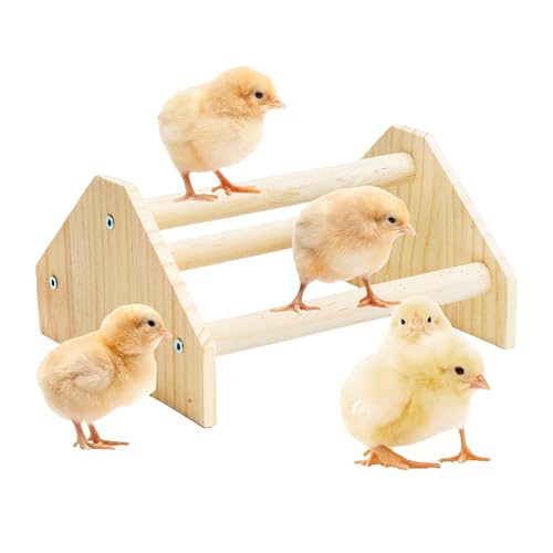 Baby Chicken Perch Strong Pine Wooden Chick Jungle Gym Roosting Bar, New-gen Durable Chicken Perch Toys for Coop and Brooder 7.9 X 6.9 X 4.14’’ Chicken Perch(Can be Used for Baby Turkeys)