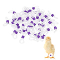 M METERXITY 50-Pack Adjustable Chick Leg Bands, 0.79" x 0.2" Silicone Chicken Leg Brace for Chicks/Ducks/Birds [Purple] Poultry Leg Bands - color: Purple