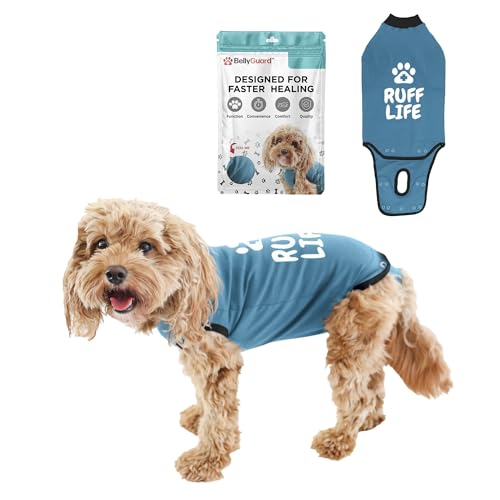 Dog Surgery Recovery Suit, Male Female After Spay Neuter Onesie | Soft Breathable Cotton, Anti-licking Cone Alternative, Protects Stitches & Abdominal Wounds, Patented Clip-up Potty System - color: Blue, size: Mini