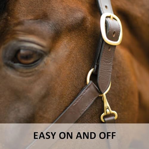 Dura-Tech Premier Lancaster Leather Halter for Horses | Simple Economy Leather Halter with Adjustable Fit & Solid Brass Hardware - size: Full Size