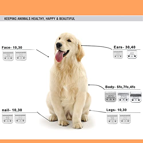 7FC Blades Dog Grooming Clipper Blade Compatible with Andis | Grooming Blades for Oster A5/Wahl KM Series, Ceramic Blade, Stainless Steel Blade - color: 1pc 7fc:1/8''(3.2mm)