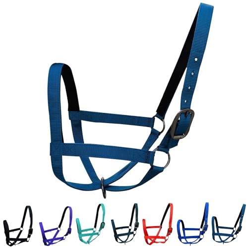 Majestic Ally Adjustable Nylon Cattle Halter with Padded Crown and Nose - 6-Month Warranty - color: Teal