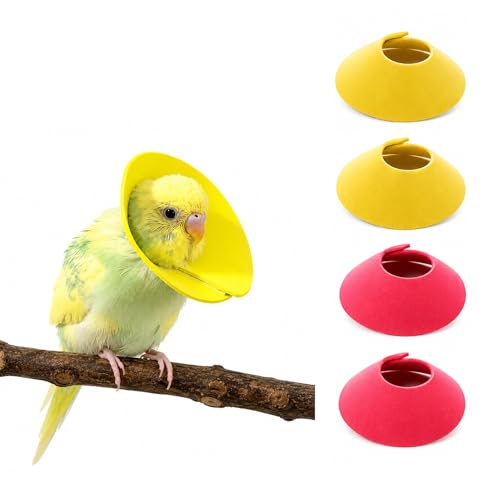 4Pcs Budgerigar Lovebird Bird Cone Collar | Bird Elizabethan Collar for Wound Biting Prevention&Feather Plucking, Protective Recovery Cone for Lovebird Cockatiel Parrots - size: S