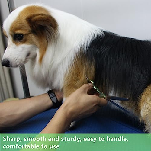 HASHIMOTO Thinning Shears for Dogs, Dog Thinning Shears for Grooming, 42 Teeth, 6.5 inch, 30% Thinning Rate, Extremely Light Weight, Designed for Professional Pet Groomers or Family DIY Use. - size: 6.5", style: Blending (Super Lightweight)