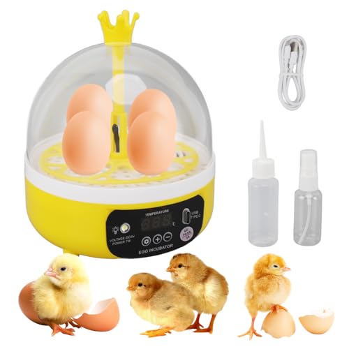 Tissting 4-Egg Mini Incubator with Transparent Lid | 7W Power & Humidity Control | Clear Viewing Window | Manual Egg Turning | for Chicken, Duck, Quail, Pigeon(Manual Turning) - color: 4 Eggs Manual Turning