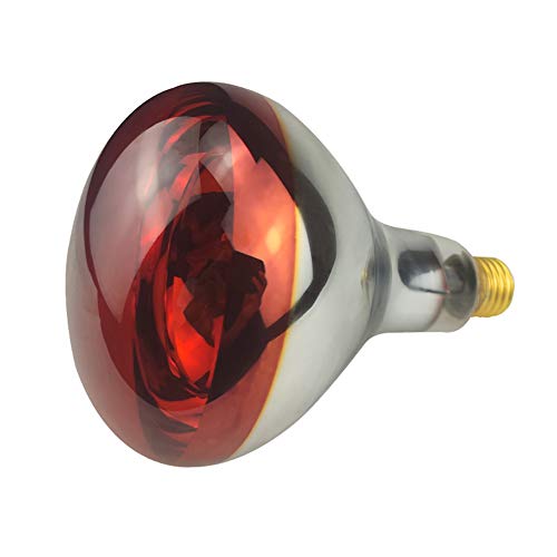 Heat Lamp Bulb R40 250 Watt 2 Pack Painted Red Infrared Glass Lamp Bulb for Food Service, Brooder Bulb, Chicks, Pet, Bathroom.
