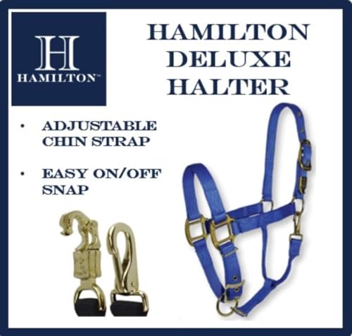 Hamilton Deluxe Adjustable Horse Halter, 800-1100 lbs, Navy Blue | Premium Quality 1" Triple Ply Nylon, Average/Arabian/Yearling Draft, Adjustable Chin Strap, Throat Snap, Solid Brass Hardware - color: Navy Blue, size: Average, 800-1100lbs