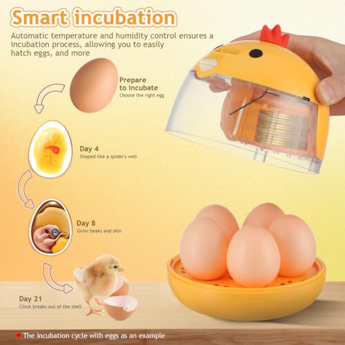 Abaodam Incubators for Hatching Eggs, Small Chicken Egg Incubator with Automatic Temperature Control & 360° View, Portable Type-C Hatcher for Quail, Parrot, Duck, Poultry, Ideal for Kids Science