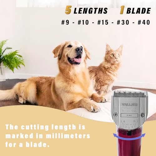 [3 Pack] 5-in-1 Professional Animal Clipper Blades for Wahl Arco, Bravura, Chromado, Creativa, Figura, Motion & SuperGroom, Detachable Adjustable Dog Cat Pet Grooming (Silver) - color: Silver, size: 3 Pack