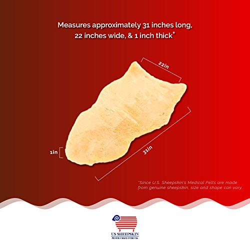 Medical Sheepskin Pelt - Small - size: Small (1 Count)