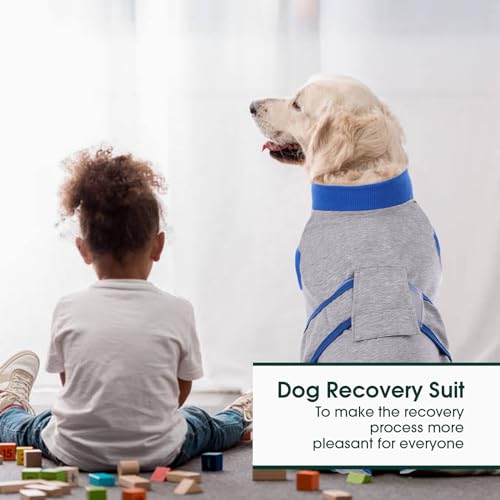 Kuoser Recovery Suit for Dogs Cats, Soft Dog Surgery Suit Female Male Spay | Professional Dog Onesie for Surgery, Substitute E-Collar & Cone, Prevent Licking Dog surgical suit Pet Neuter Suit - color: GreyBlue, size: X-small (Back:8.3-11.4'', Weight:4-7 L
