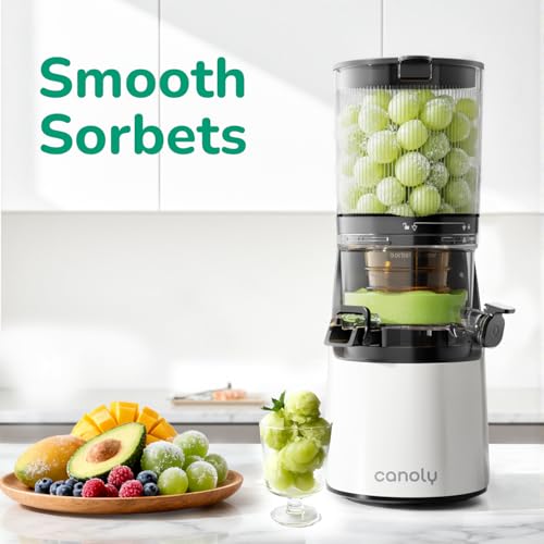 Canoly 3-in-1 Cold Press Juicer C16, Makes Juice & Sorbet & Nut Milk | 6" Extra Wide Feed Chute, Durable AC Brushless Motor, Self Precut System, Juicer Machines with BPA-Free (Pearl White) - color: Pearl White