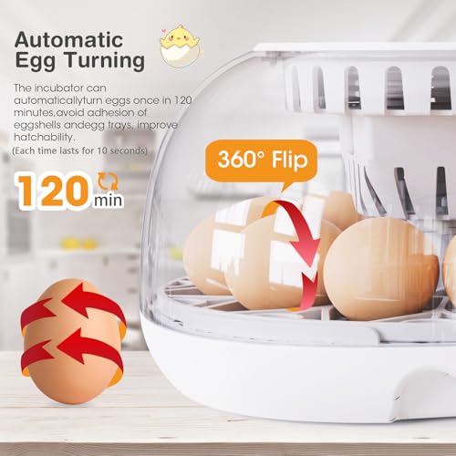 Incubators for Hatching Eggs, 12 Egg Incubator with Automatic Turning and Temperature Control, Automatic Water Adding, LED Egg Candler, for Hatching Chickens, Duck, Quail - color: White