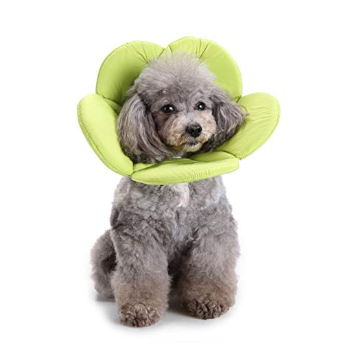 Dogs Cats Medical Grooming Pet E-Collar Recovery Remedy Protective Dog Lick Caught Soft Sponge Adjustable Postoperative Kit for Small and Medium Dog (Green, M (neck's Girth 10.6" to 11.4")) - color: Green, size: M (neck's girth 10.6" to 11.4")