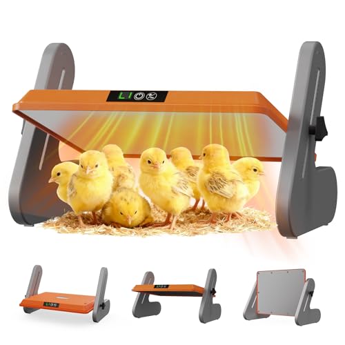 Ficuswin Brooder Heater for 20 Chicks, Chicken Heating Brooder Plate with 3 Adjustable Temp Settings, Safe Coop Heater for Poultry Cage Warmer, 16"x10" Energy Efficient Radiant Heat Pad(ETL Compliant)