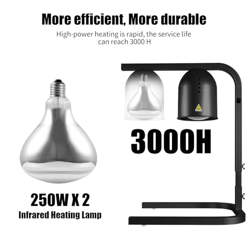 Food Heat Lamp with 2 x 250W Bulbs, 5000+ Hour Lifespan, Black | 12"×20" Warming Area, UL-Tested, Adjustable Height Stand 22"-30", Commercial & Home Use Restaurant Buffet Bakery Catering - color: Black