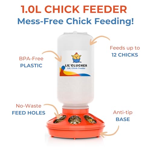 Lil'Clucker 1L Chick Feeder, 1.5L Chicken Waterer - No Leakage Chick Feeder and Waterer Kit, Hanging Baby Chick Waterer, Durable Chicken Water Feeder, Chicken Feeder and Waterer Set, Poultry Waterer - color: Orange