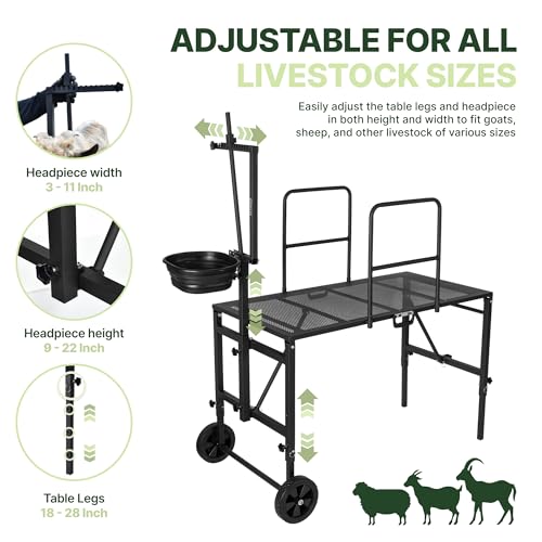 Goat Stand with Adjustable Headpiece & Legs, Goat Milking Stand with Feeder, Rails & Wheels, Stanchion for Grooming & Hoof Trimming, Sheep Stand for Shearing Heavy-Duty Steel Platform, Black - color: BLACK