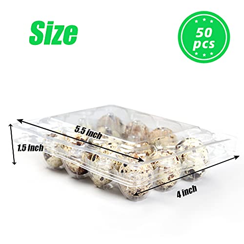 50 Pcs Quail Egg Cartons,12 Grids Small Egg Storage Holders,Quail Eggs Bulk Carton Trays for Small Eggs,Quail,Pheasant,Pigeon Eggs