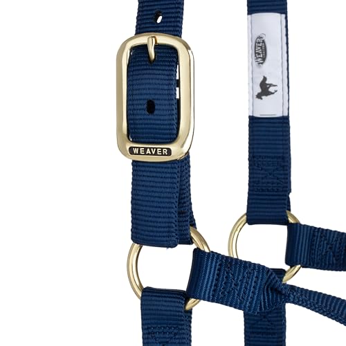 Weaver Leather Original Non-Adjustable Nylon Horse Halter, Large, Navy
