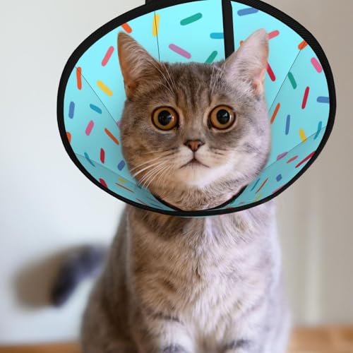 Blue Donut cat Cone Collar Adjustable Elizabethan Circle Kitten Dog Stop Licking Scratch After Surgery Protective Neck Cover - color: Blue Donut, size: Large
