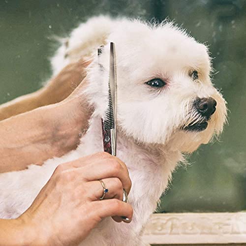 Gimars Professional 4CR Stainless Steel 6 in 1 Grooming Scissors for Dogs with Safety Round Tip, Heavy Duty Titanium Coated Pet Grooming Scissor for Dogs, Cats and Other Animals - style: Pink 6 in 1